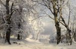 forest-in-winter-1882-by-anders-andersen-lundby